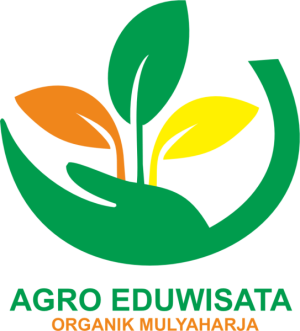 Logo AEWO